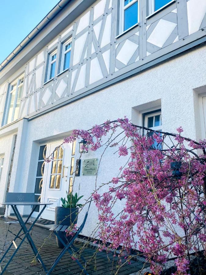 Apartments Im Chateau D'Esprit Höhr-Grenzhausen Εξωτερικό φωτογραφία